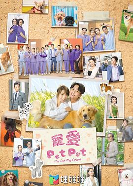 《宠爱Pet Pet粤语》完整版在线观看