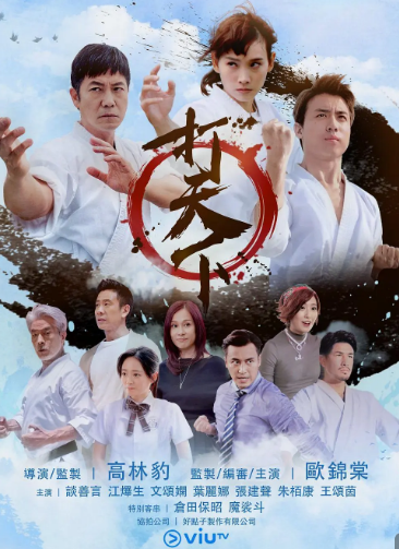 《打天下粤语》完整版在线观看