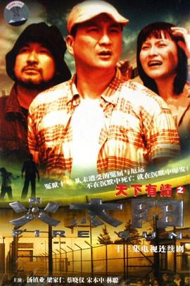 《天下有情之火太阳国语》完整版在线观看