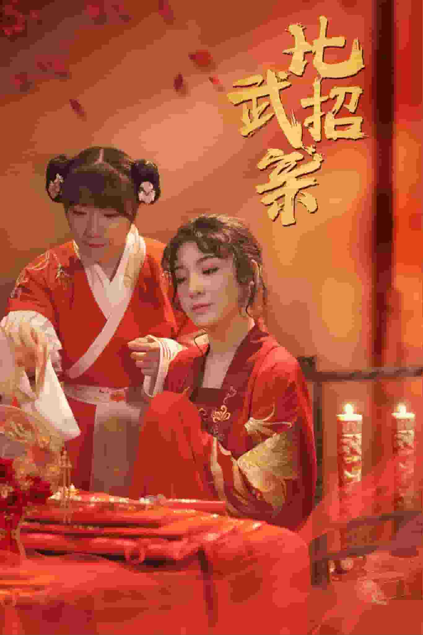 《比武招亲》完整版在线观看