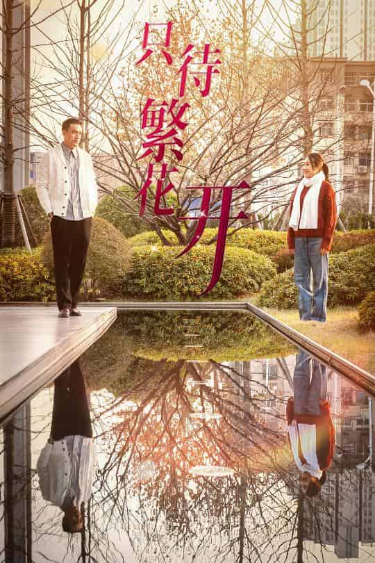 《只待繁花开》完整版在线观看