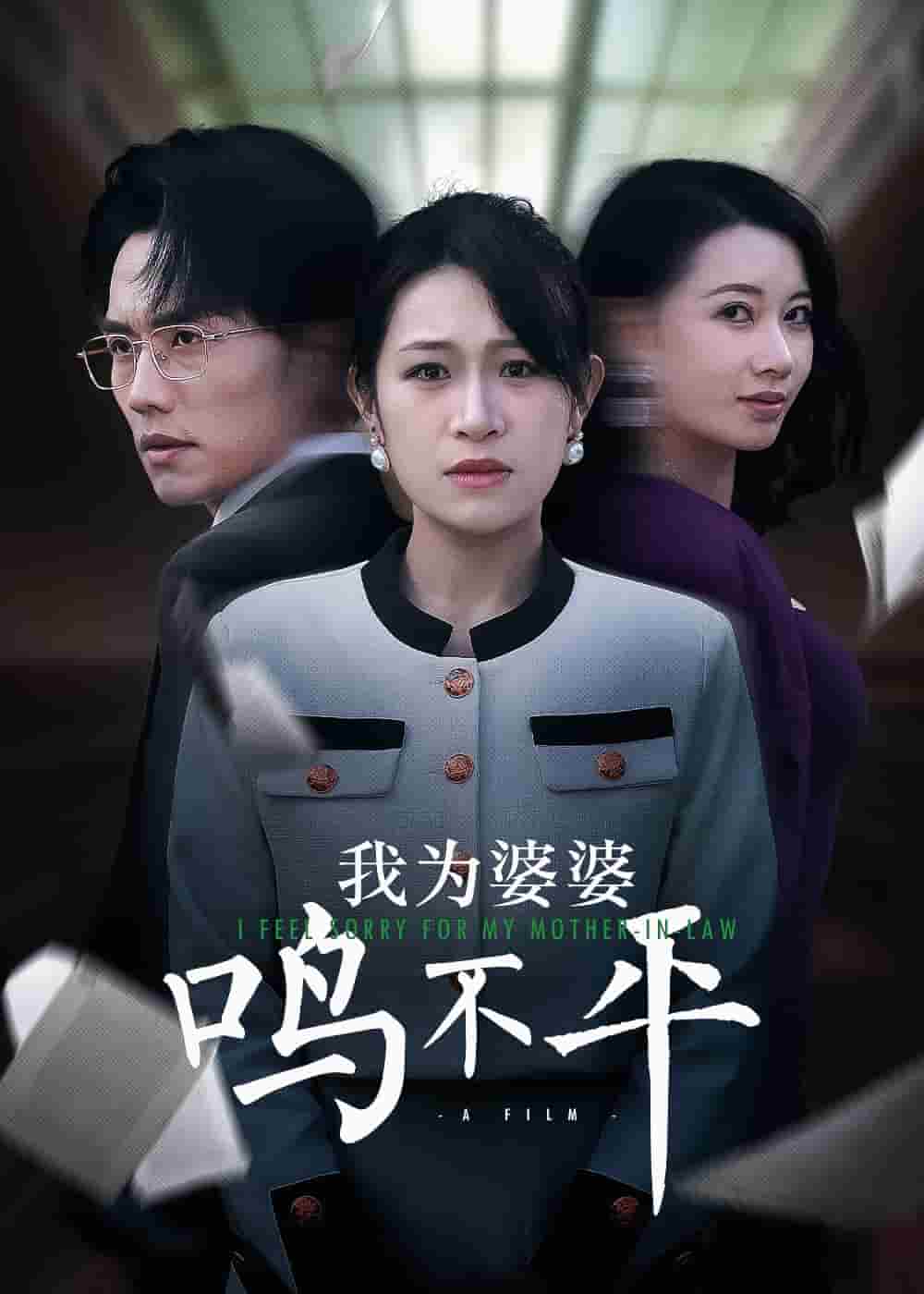 《我为婆婆鸣不平》完整版在线观看