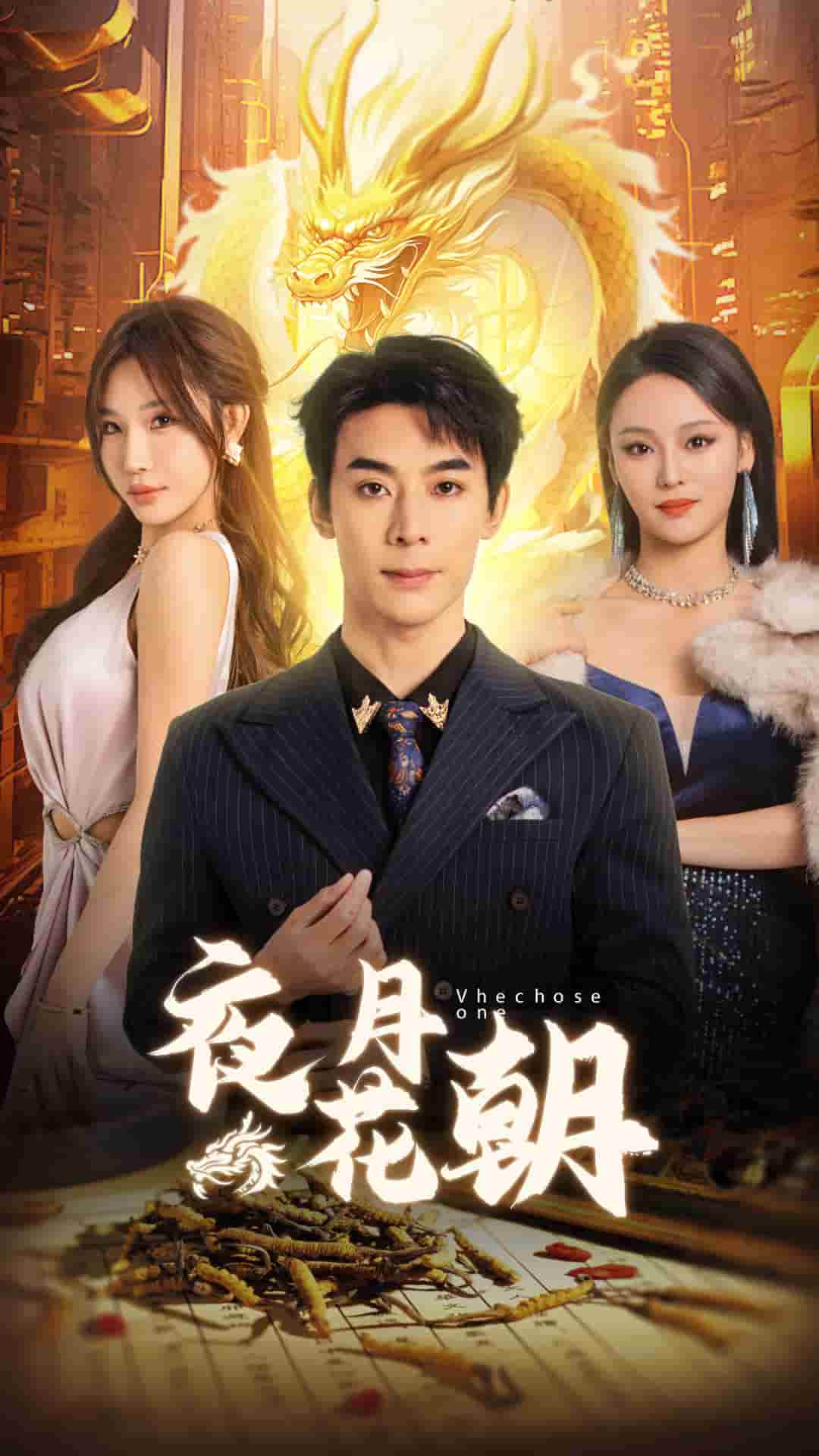 《夜月花朝》完整版在线观看