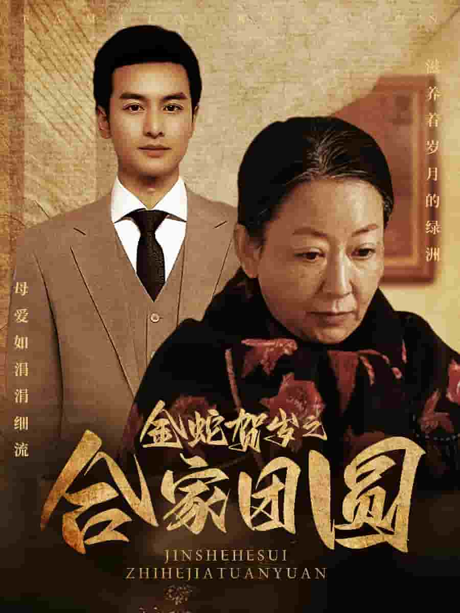 《金蛇贺岁之合家团圆》完整版在线观看