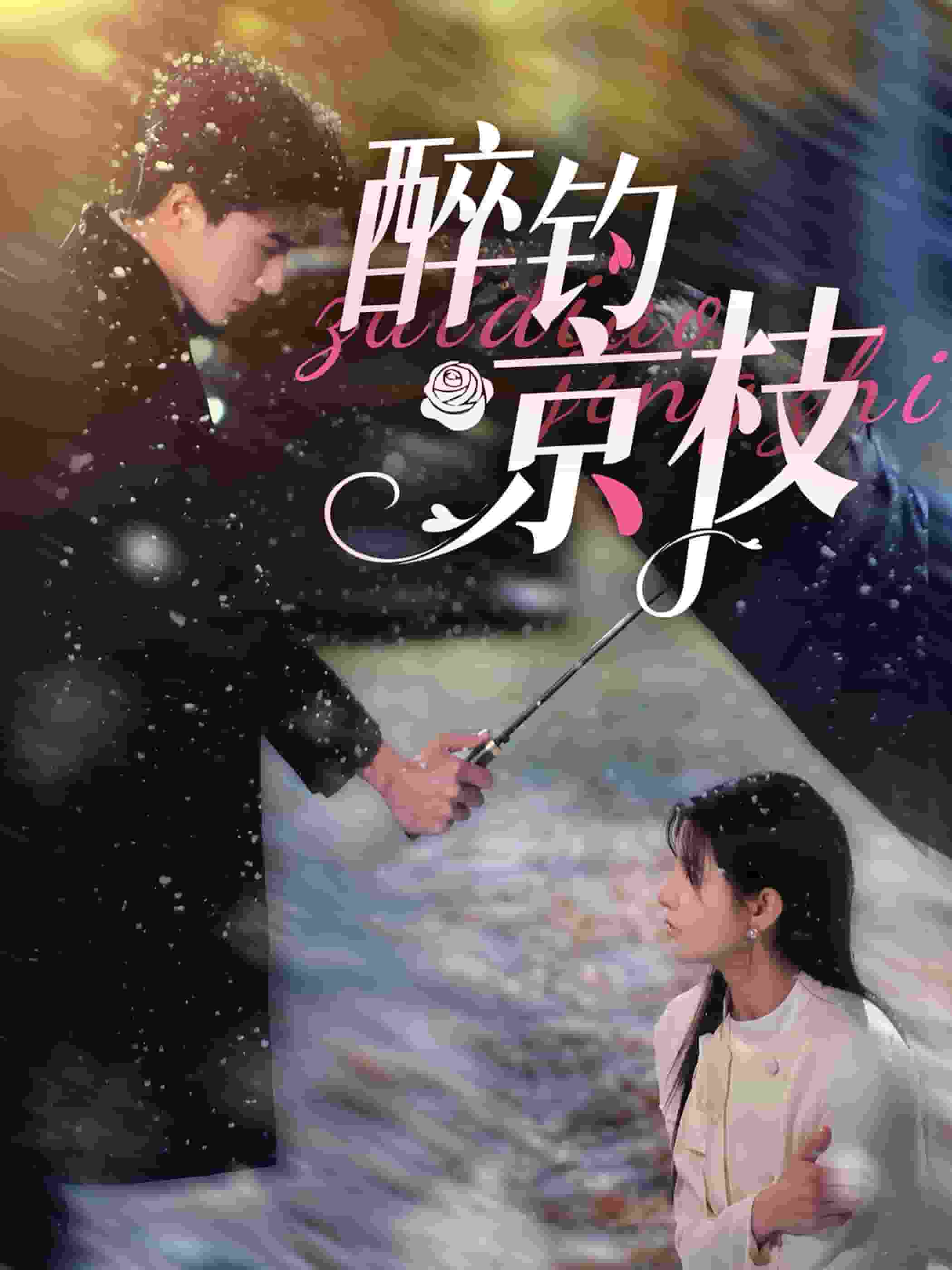 《醉钓京枝》完整版在线观看