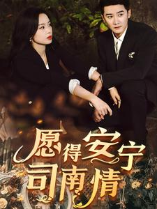 《愿得安宁司南情》完整版在线观看