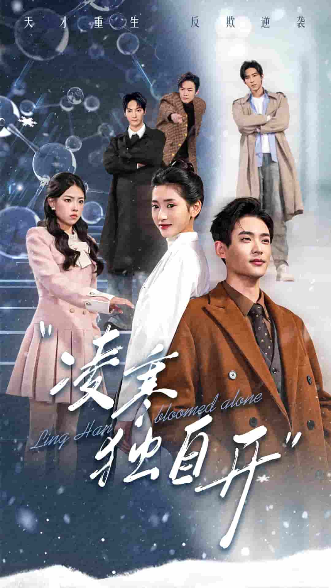 《凌寒独自开》完整版在线观看