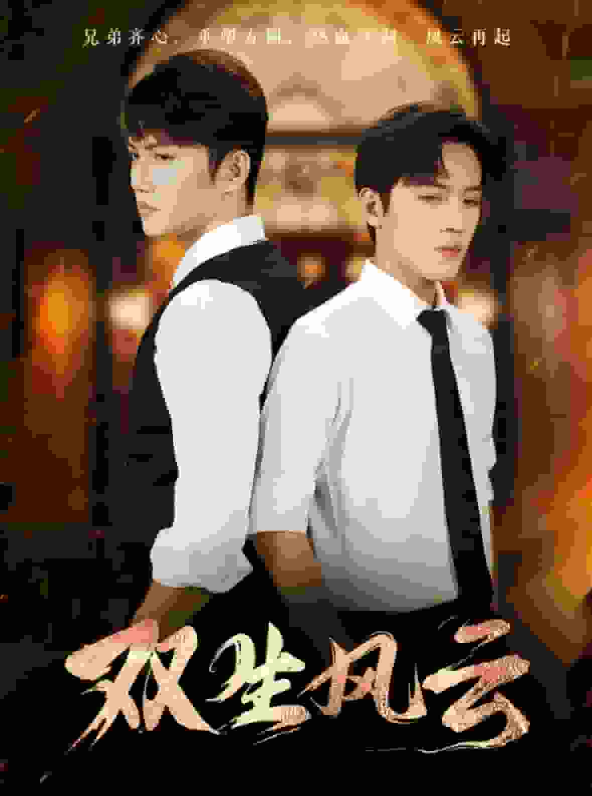 《双生风云》完整版在线观看