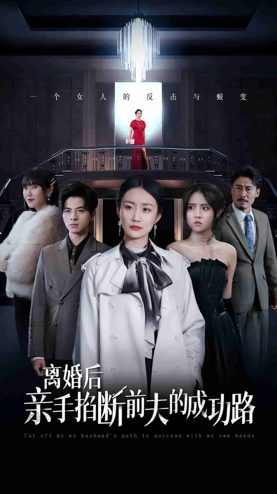 《离婚后亲手掐断前夫的成功路》完整版在线观看