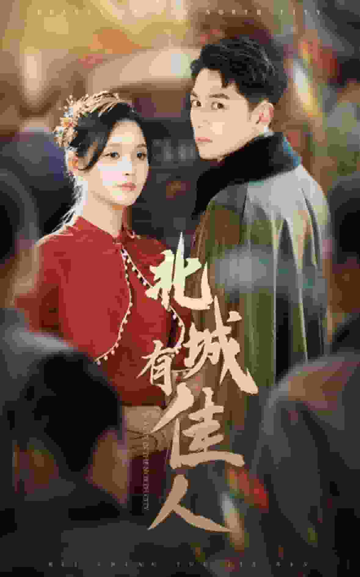 《北城有佳人》完整版在线观看