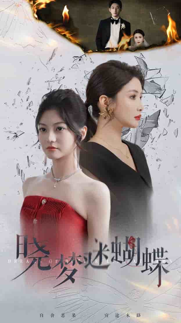 《晓梦迷蝴蝶》完整版在线观看
