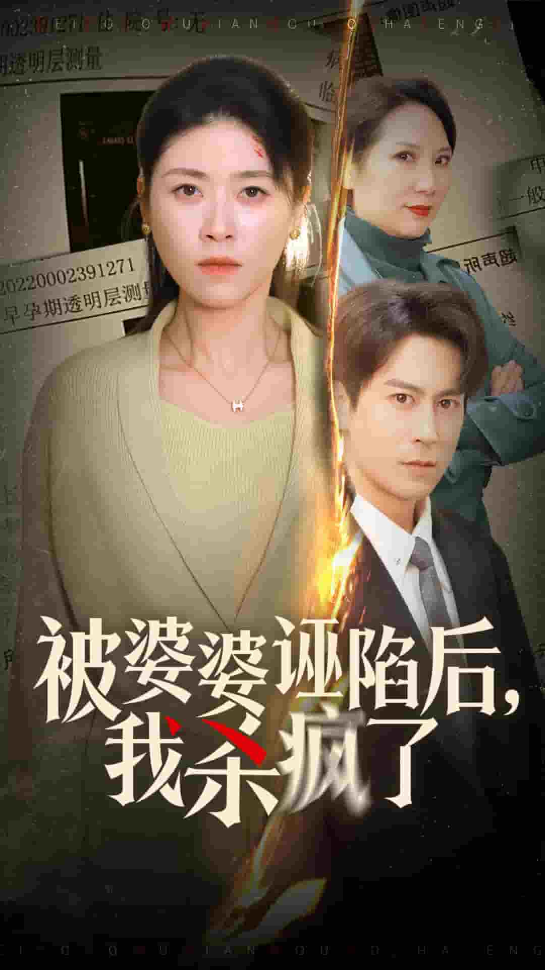 《被婆婆诬陷后我杀疯了》完整版在线观看