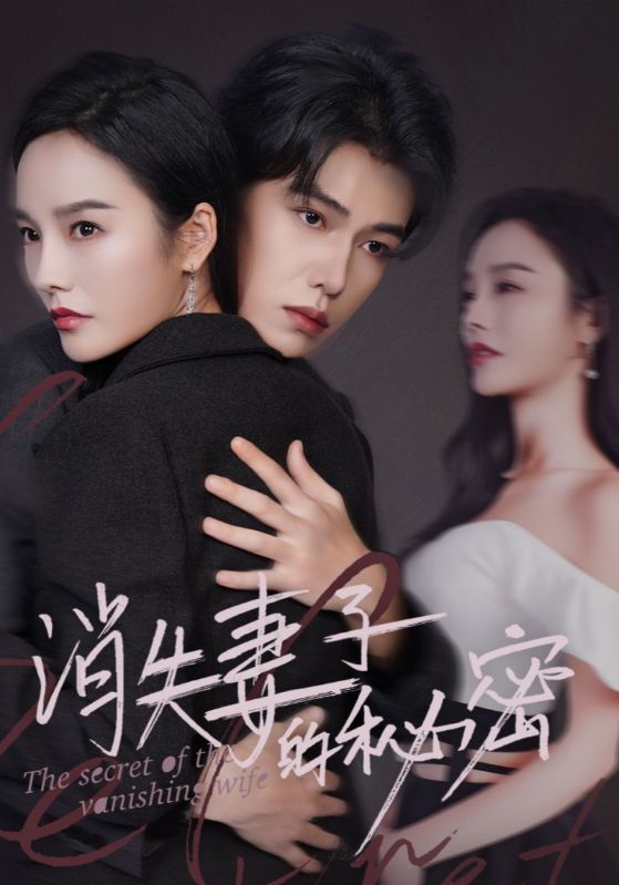 《消失妻子的秘密》完整版在线观看