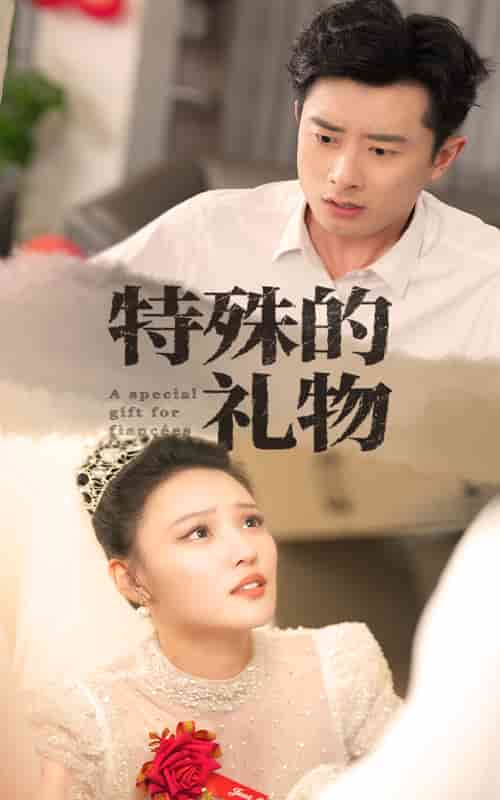 《特殊的礼物》完整版在线观看