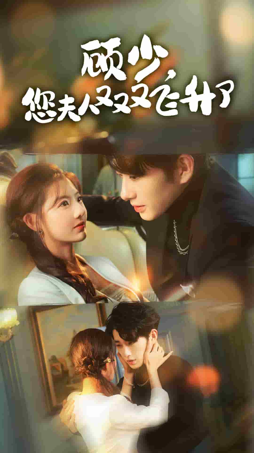 《顾少您夫人又又又飞升了》完整版在线观看