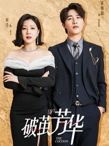 《破茧芳华》完整版在线观看