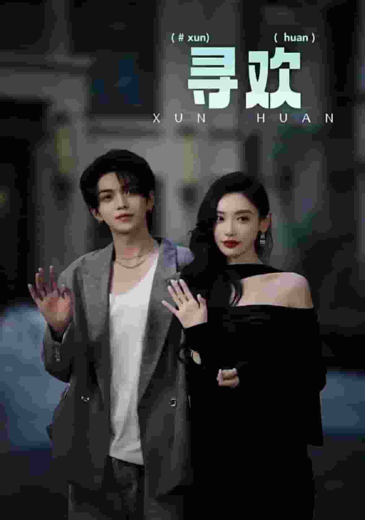 《寻欢》完整版在线观看