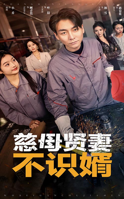 《慈母贤妻不识婿》完整版在线观看