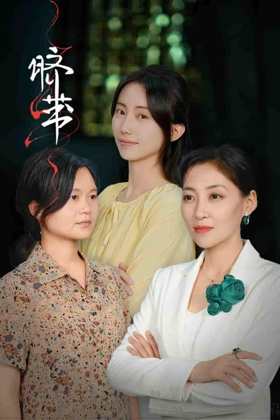 《脐带 短剧版》完整版在线观看