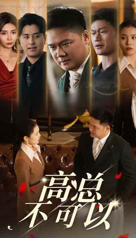 《高总不可以》完整版在线观看