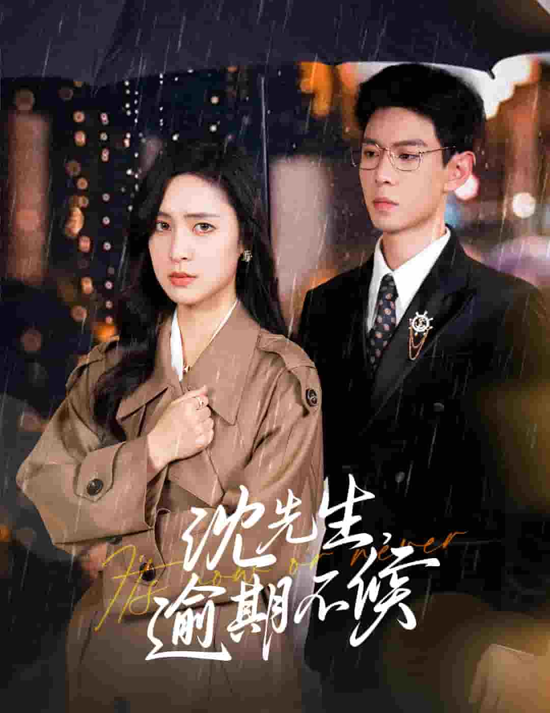 《沈先生逾期不候》完整版在线观看