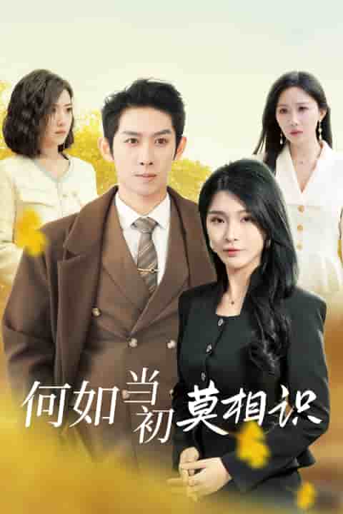 《何如当初莫相识》完整版在线观看