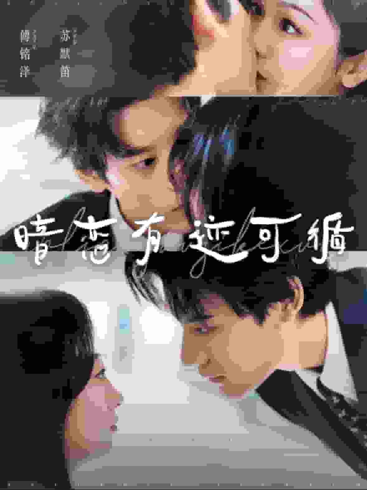 《暗恋有迹可循》完整版在线观看