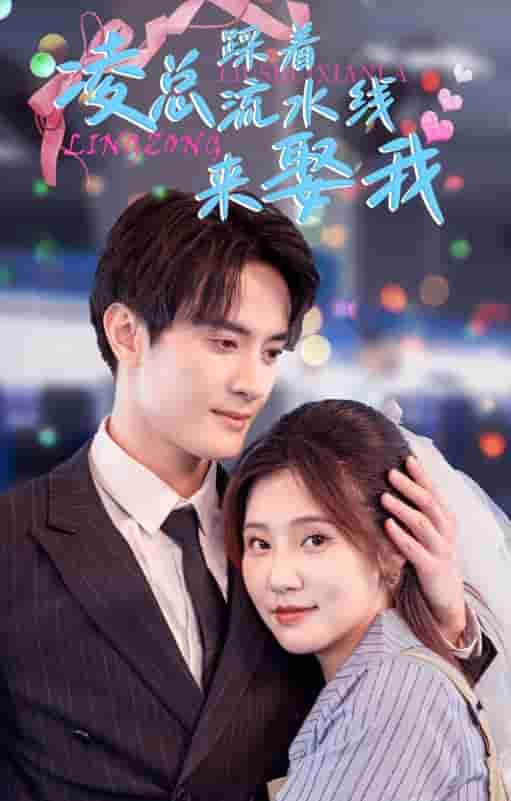 《凌总踩着流水线来娶我》完整版在线观看