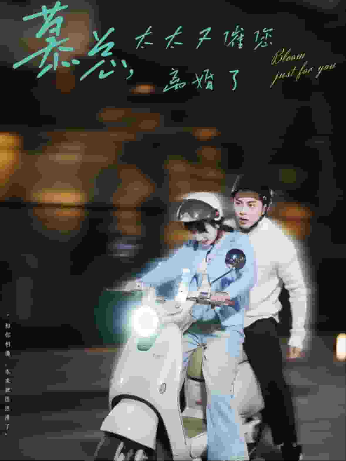 《慕总太太又催您离婚了》完整版在线观看