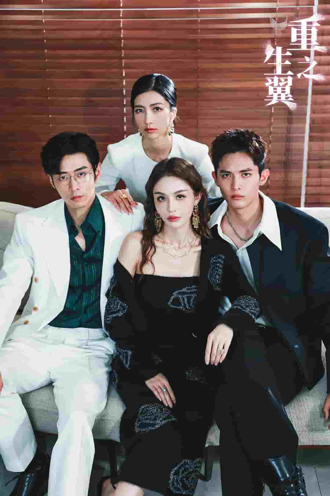 《重生之翼》完整版在线观看