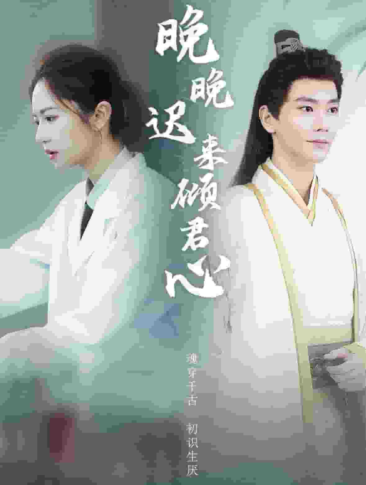 《晚晚迟来倾君心》完整版在线观看