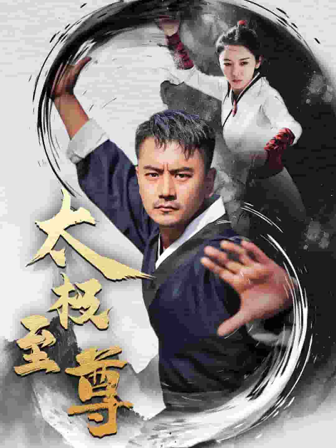 《太极至尊》完整版在线观看