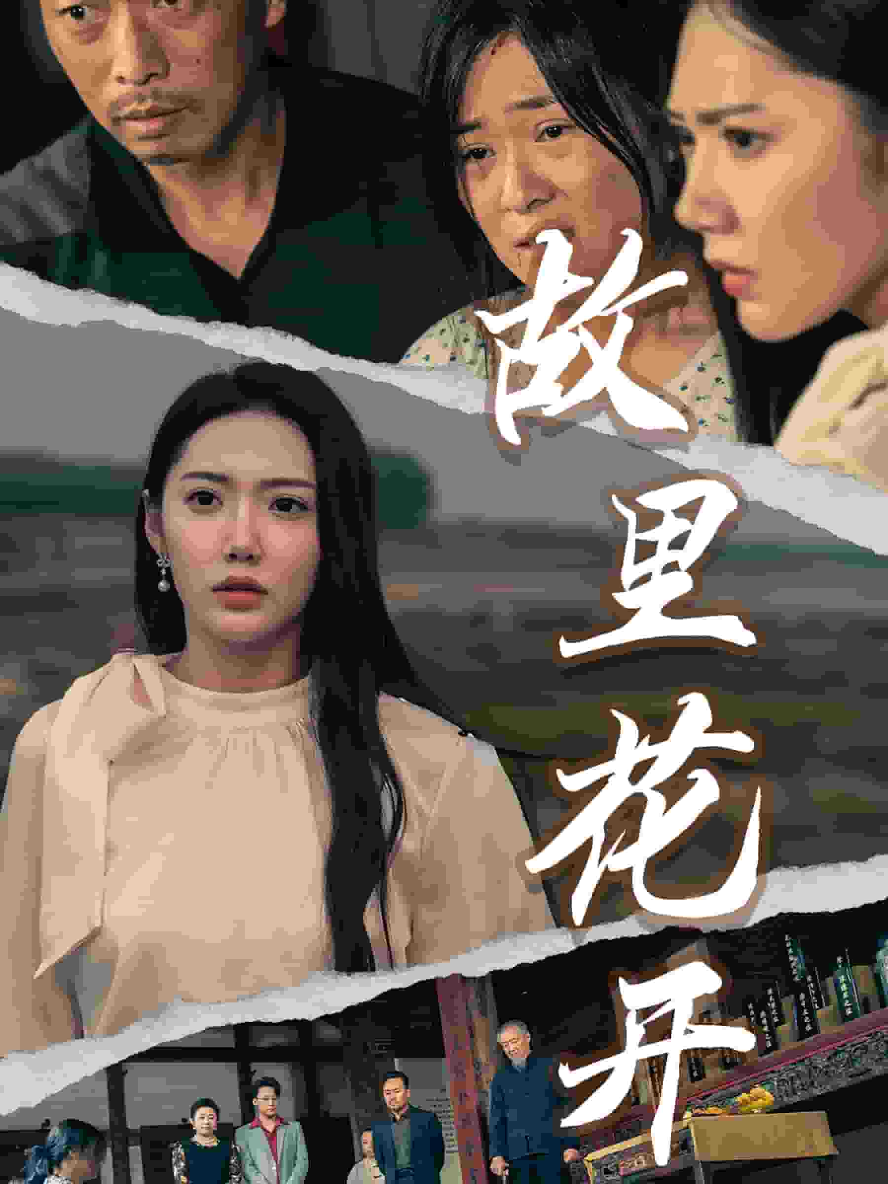 《故里花开》完整版在线观看