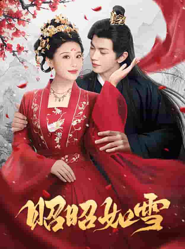《昭昭如雪》完整版在线观看