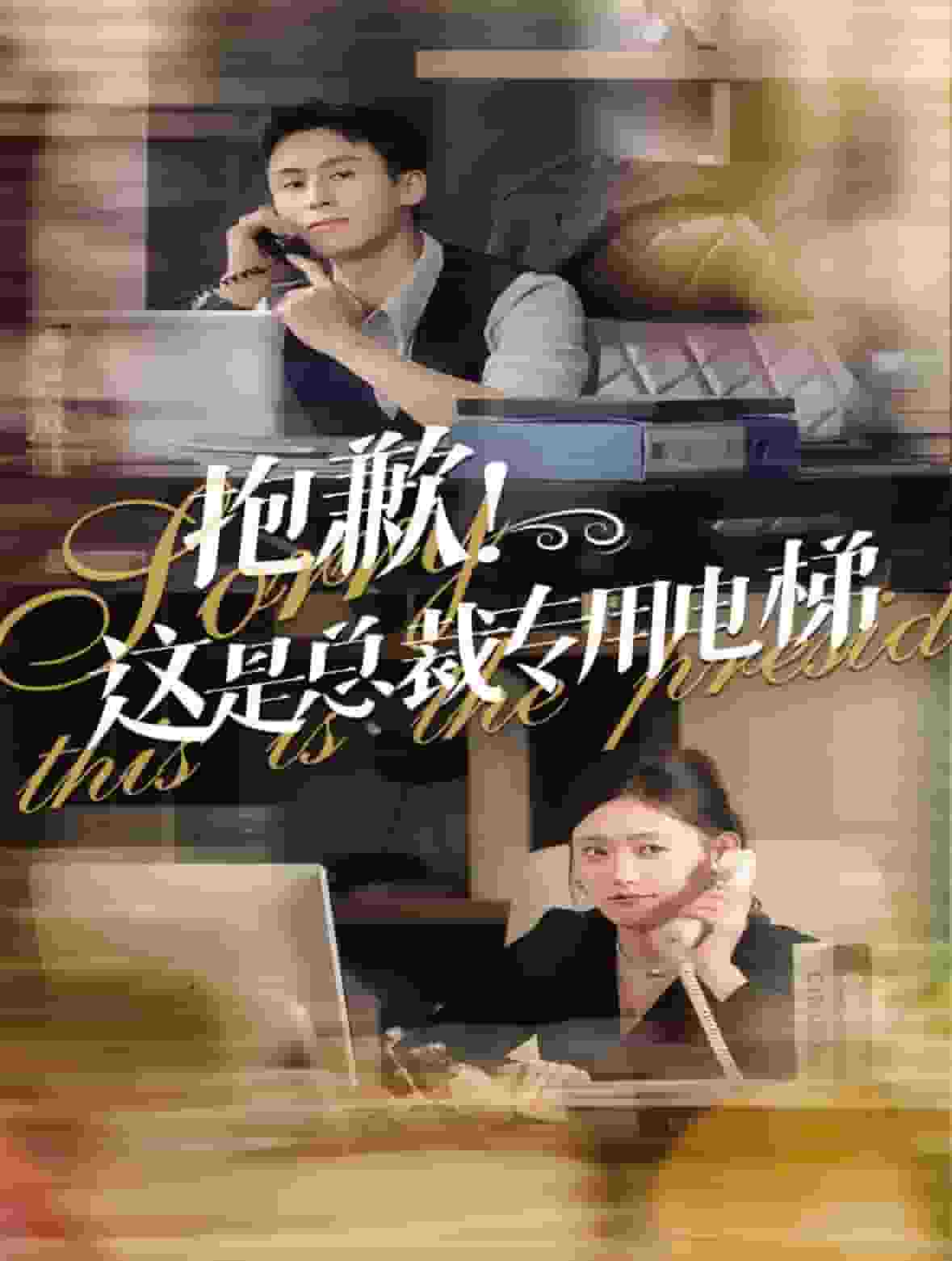 《抱歉这是总裁专用电梯》完整版在线观看