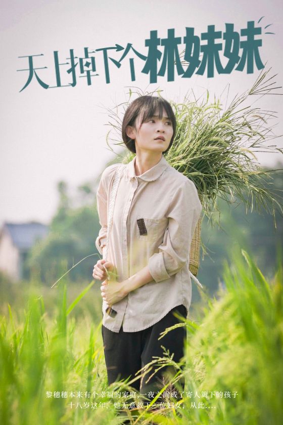 《天上掉下个林妹妹》完整版在线观看