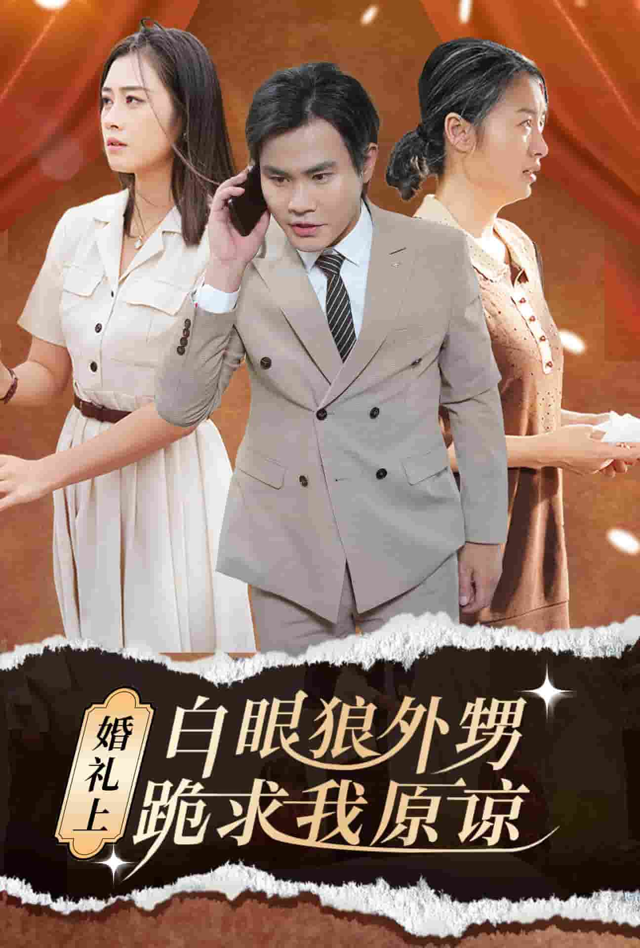 《婚礼上白眼狼外甥跪求我原谅》完整版在线观看