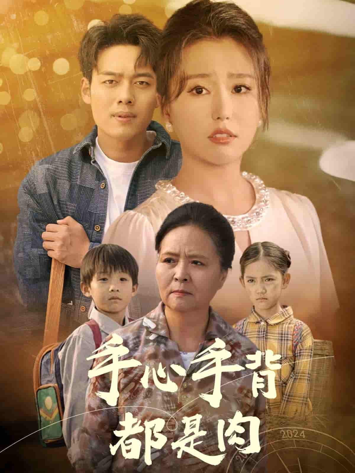 《手心手背都是肉》完整版在线观看