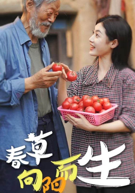 《春草向阳而生》完整版在线观看
