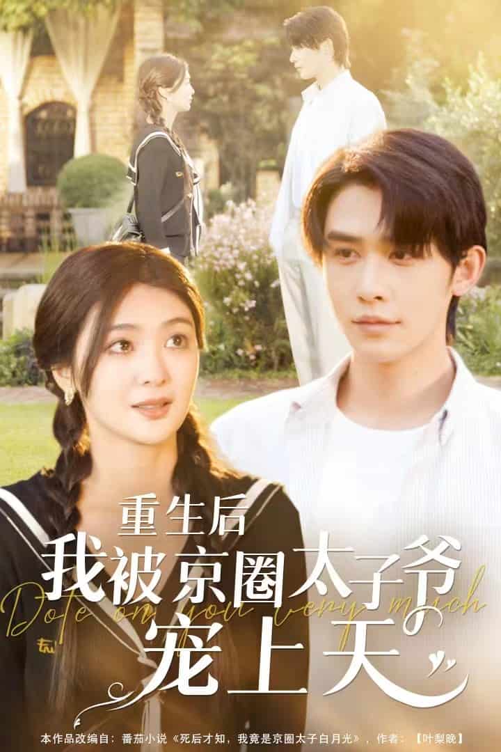 《重生后我被京圈太子爷宠上天》完整版在线观看