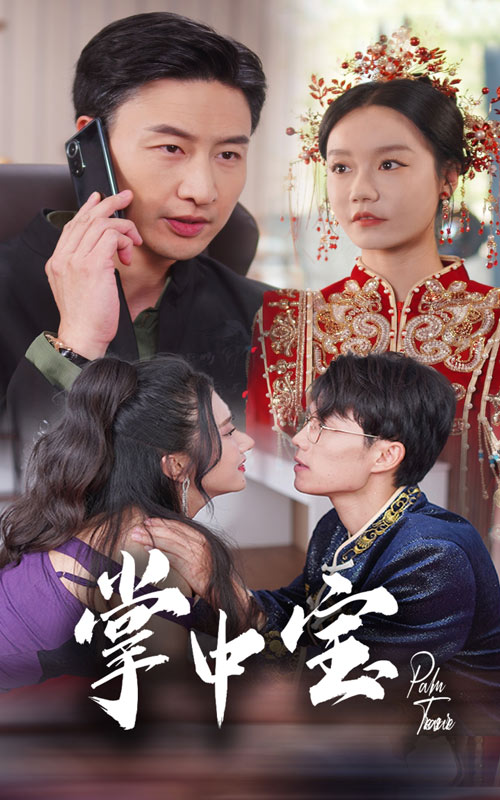 《掌中宝》完整版在线观看