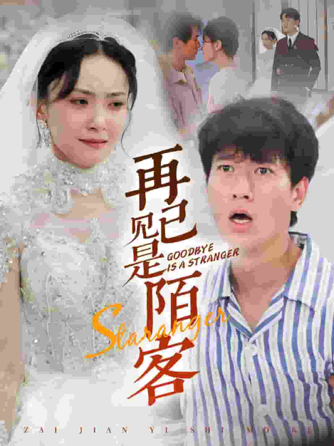 《再见已是陌客》完整版在线观看