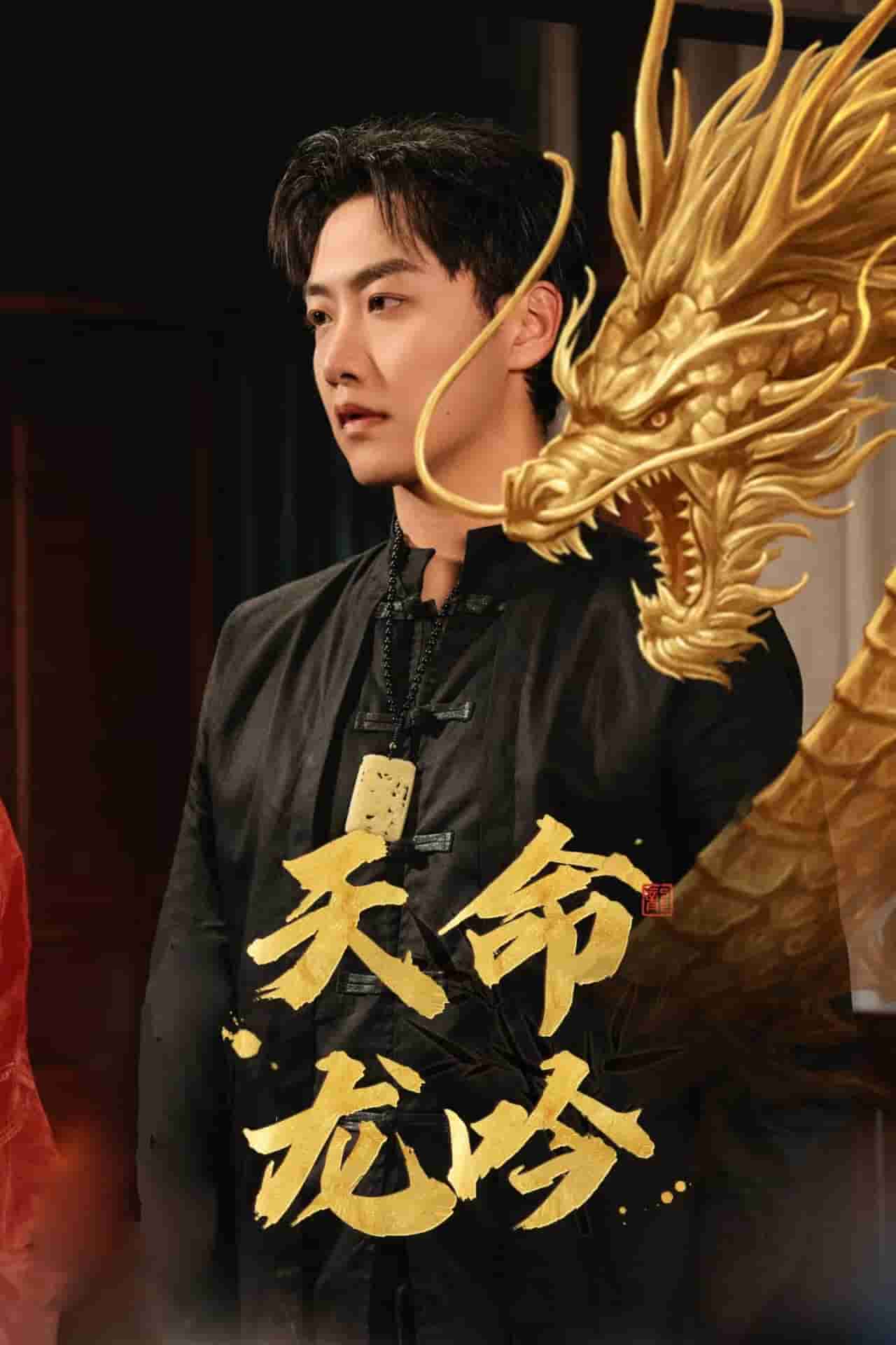 《天命龙吟》完整版在线观看