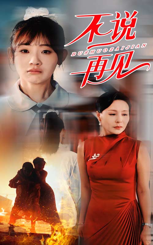 《不说再见短剧》完整版在线观看