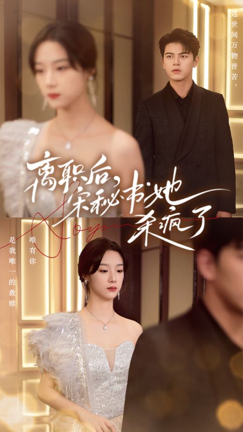 《离职后,宋秘书她杀疯了》完整版在线观看