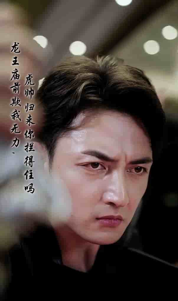 《龙王庙前欺我无力，虎帅归来你拦得住吗》完整版在线观看
