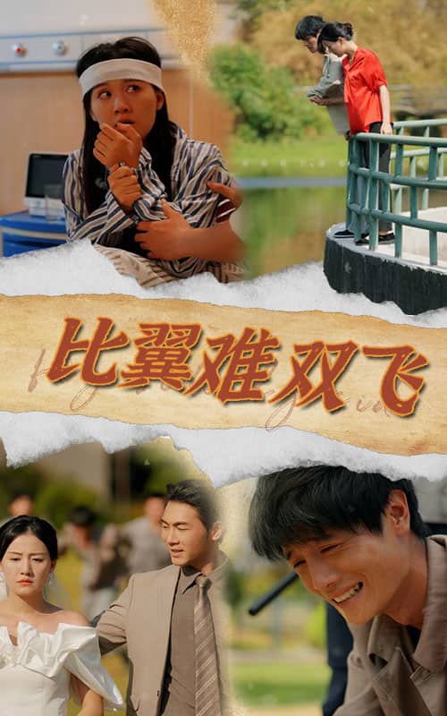 《比翼难双飞》完整版在线观看