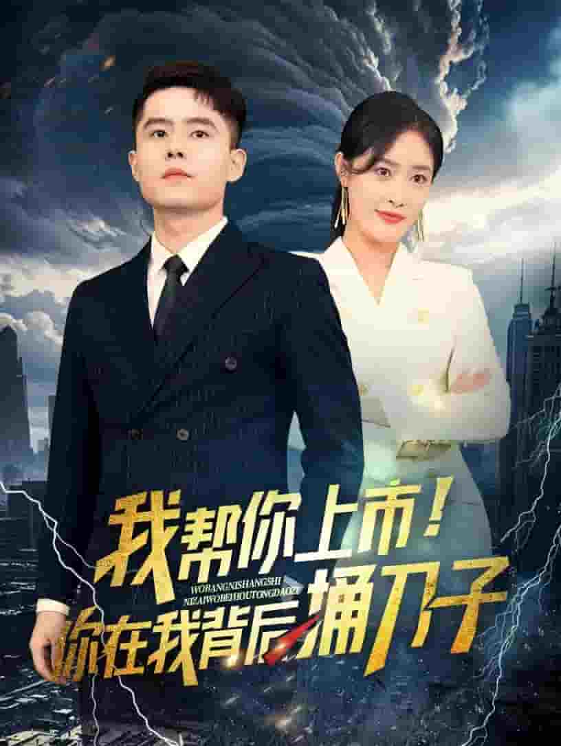 《我帮你上市！你在我背后捅刀子》完整版在线观看