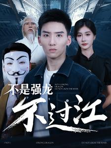 《不是强龙不过江》完整版在线观看