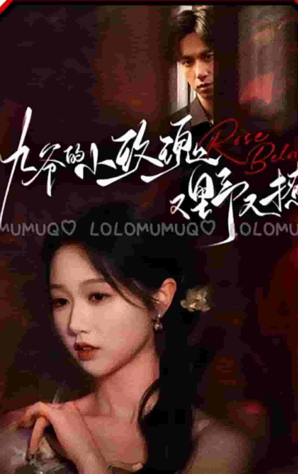 《九爷的小玫瑰又野又撩》完整版在线观看